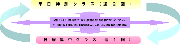 日曜フリー・パス受講